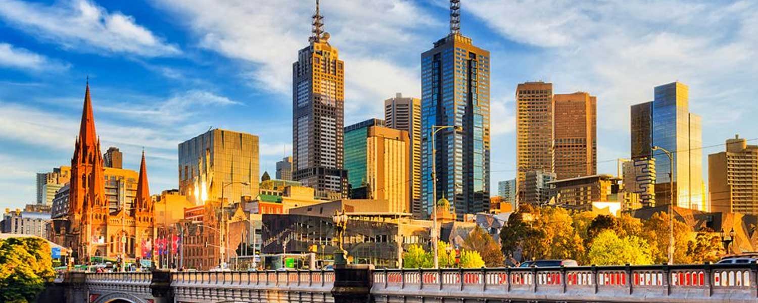 Dead animal removal Melbourne